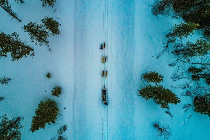 Rovaniemi: Drive Your Own Husky Team (6–10 km) & BBQ - Learning to drive your own sled