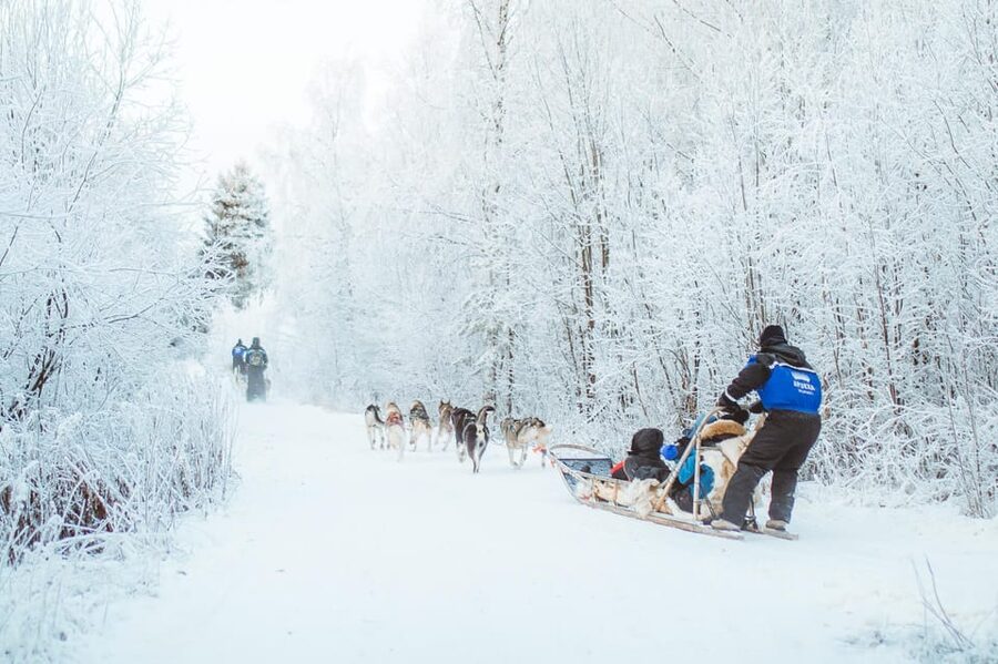 Rovaniemi: Early Winter Husky Sled Ride - Is $192 a fair price?