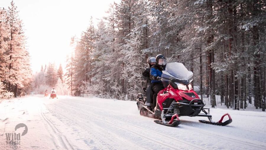 Rovaniemi: Easy Snowmobile Safari - Who should book this experience?
