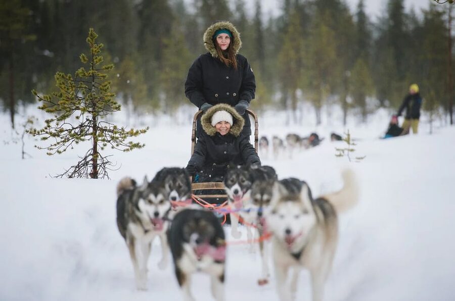 Rovaniemi: Family Friendly Husky Ride and Farm Visit - Who should book this short husky outing?