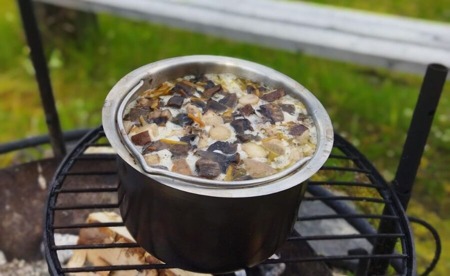 Rovaniemi forest foraging adventure: Pick, Prepare, Savor - Tahtamankuja brings the foraging lesson to life