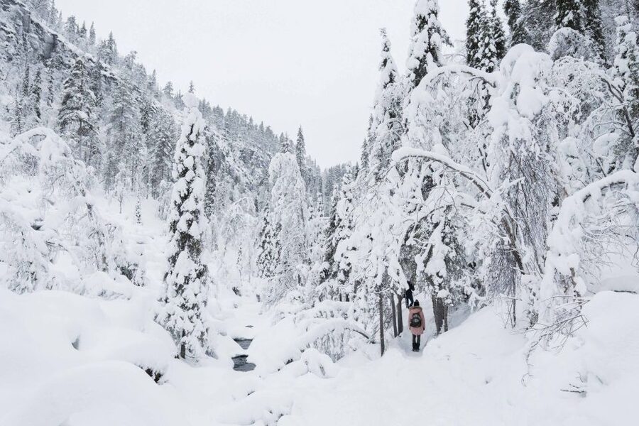 Rovaniemi: Frozen Waterfalls of Korouoma Canyon & Pro Photos - Key points to know before booking