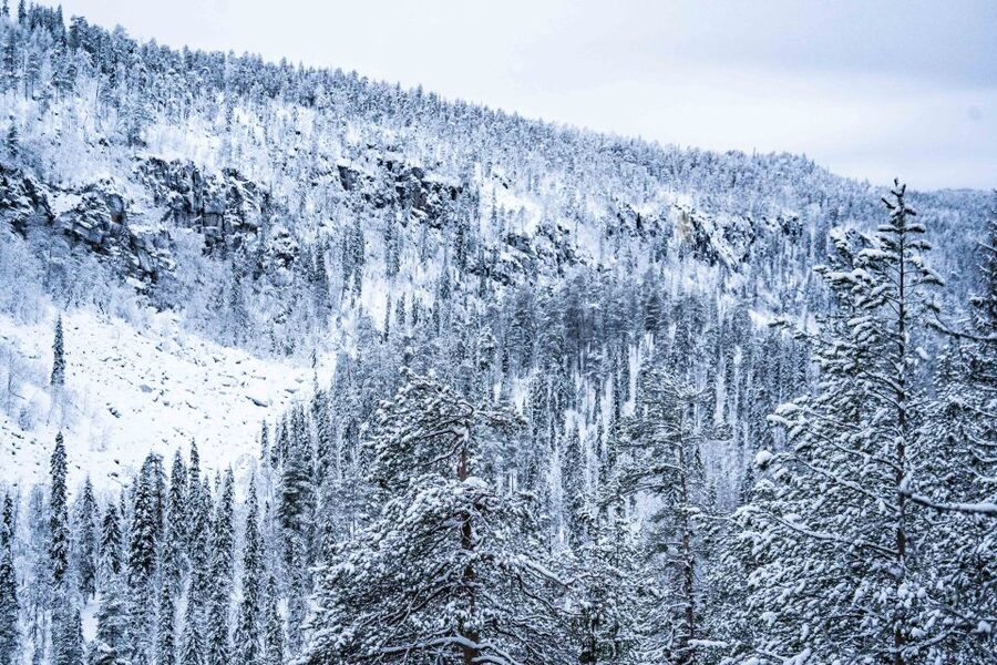 Rovaniemi: Frozen Waterfalls of Korouoma Canyon & Pro Photos - Professional photographs as part of the day