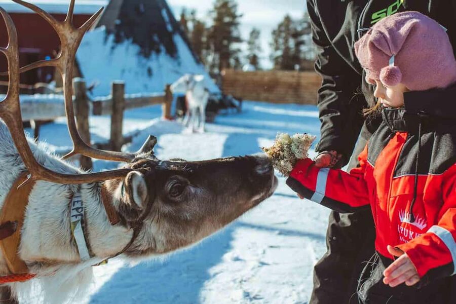 Rovaniemi: Full-Day Snow and Fun Activities - Key points before you book
