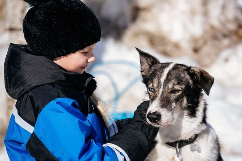Rovaniemi: Full-Day Snow and Fun Activities - Apukka’s compact Arctic activity zone