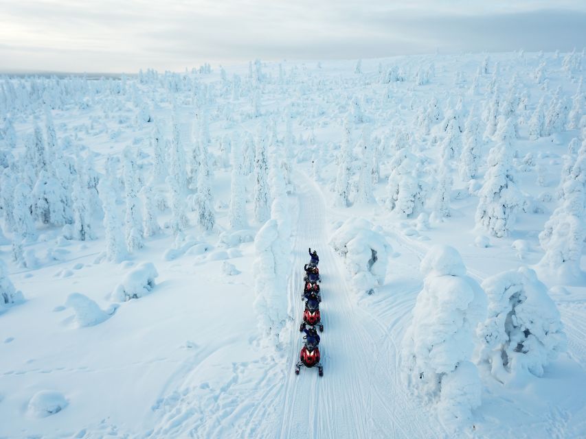 Rovaniemi: Full-Day Snowmobile Safari into the Wilderness - Sharing one snowmobile for four to five hours