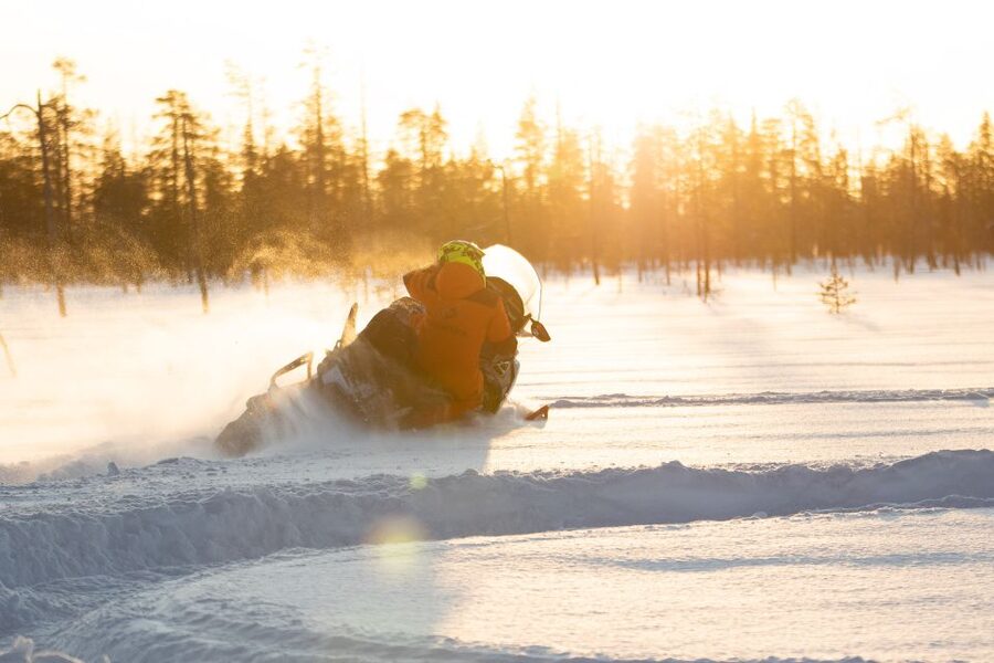 Rovaniemi: Full-Day Snowmobile Safari into the Wilderness - Forests, frozen water, and powder snow