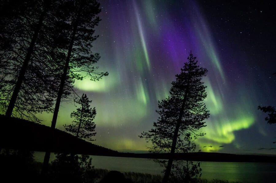 Rovaniemi: Guaranteed Aurora Hunting Tour with Local Guide - Is $159 a fair price?