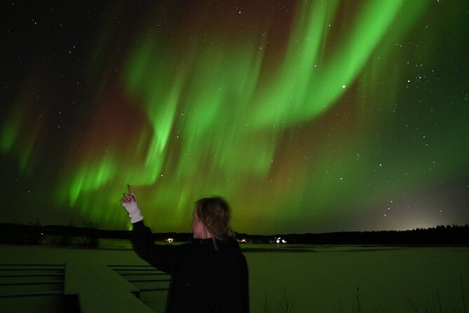 Rovaniemi: Guaranteed Northern Lights - Small Group & Photography - Is $181.84 good value?