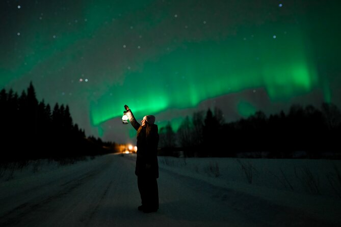 Rovaniemi: Guaranteed Northern Lights - Small Group & Photography - Starting at 6 p.m. in central Rovaniemi