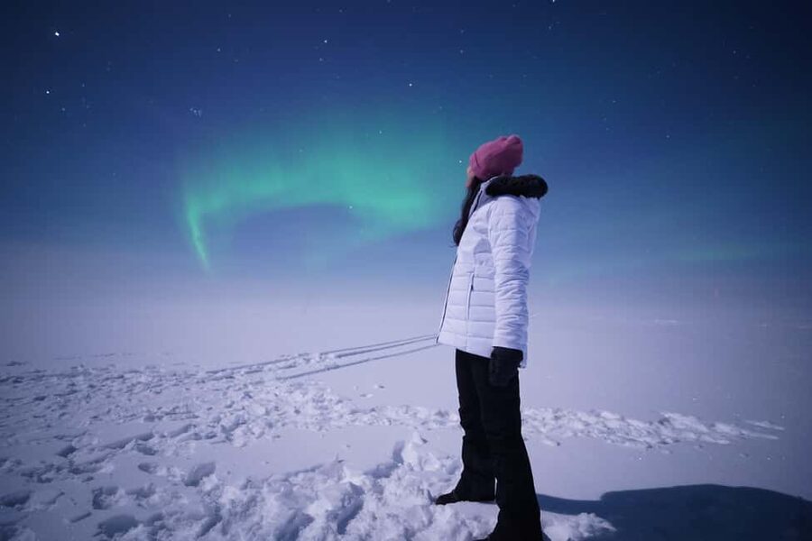 Rovaniemi: Guaranteed Northern Lights Tour with Photos - Professional photos without managing your own camera