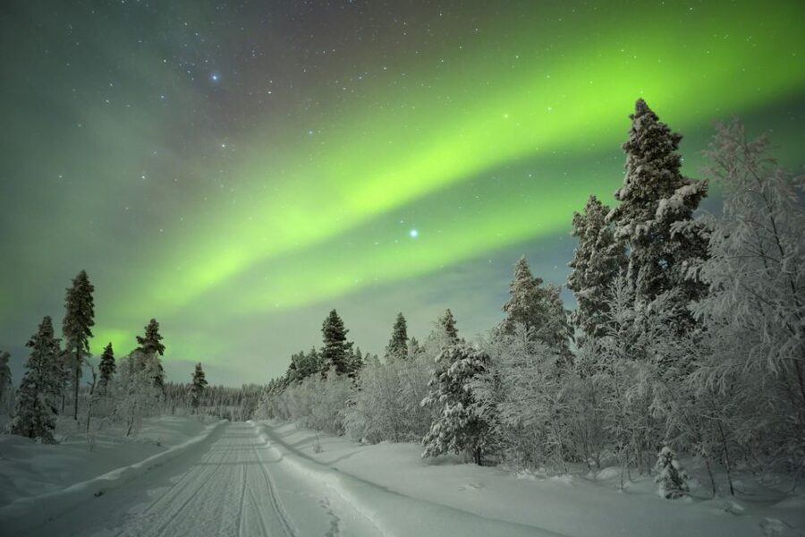 Rovaniemi: Guided Northern Lights Tour - Frozen lakes, rivers, and forest clearings