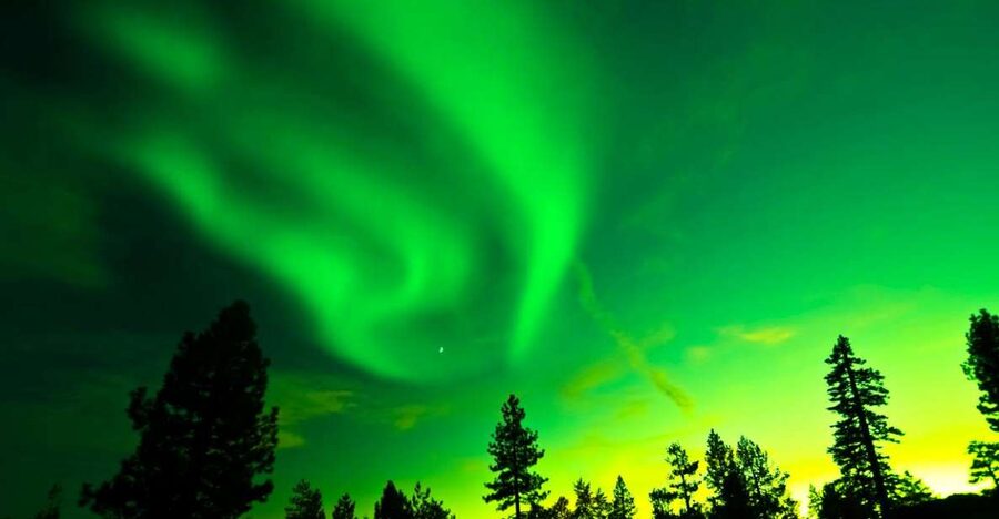 Rovaniemi: Guided Northern Lights Tour - The Northern Lights are never promised
