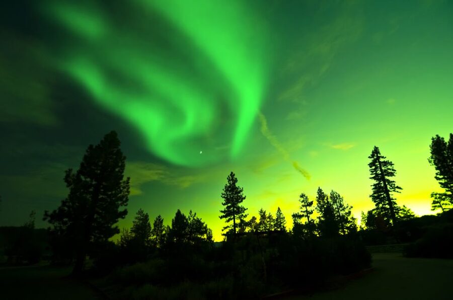 Rovaniemi: Guided Northern Lights Tour - Is $84 good value?