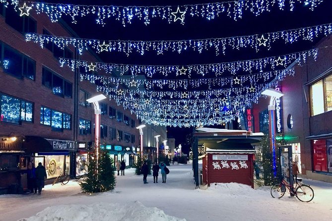 Rovaniemi Guided Tour and Santa Claus Village - What the guide can add to the day