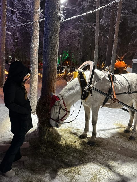 Rovaniemi: Guided Tour of Santa Claus Village - Crossing the Arctic Circle and finding the main sights