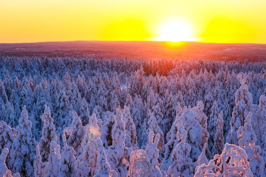 Rovaniemi: Guided Wilderness Snowmobile Ride - Why this short snowmobile ride works well in Rovaniemi