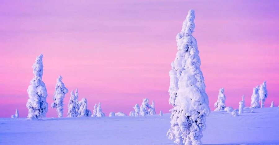 Rovaniemi: Half-Day Snowmobile & Ice Fishing Experience - Should you book it?