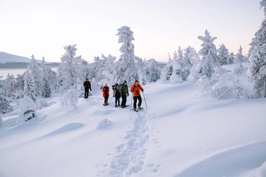 Rovaniemi: Hiking and Snowshoeing Adventure in Lapland - Key points at a glance