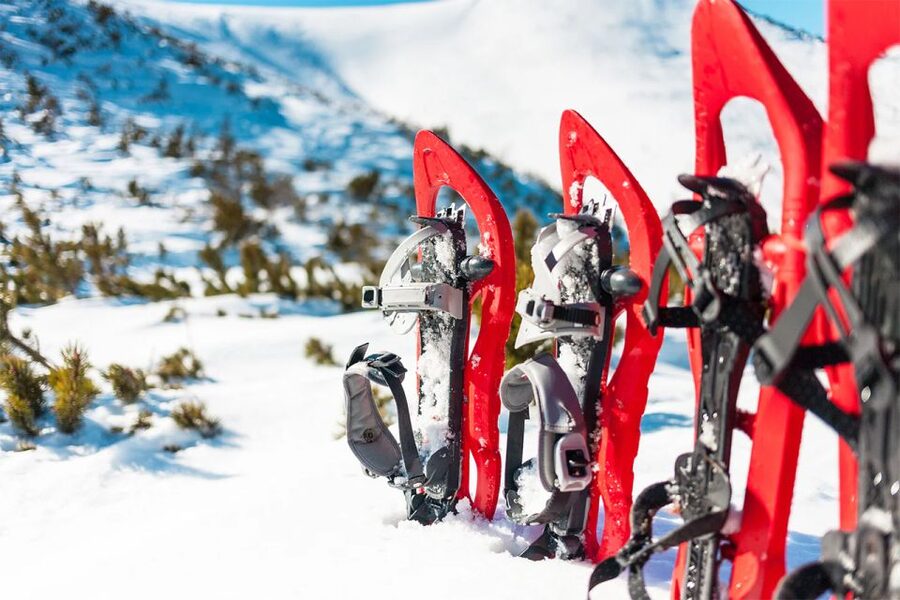 Rovaniemi: Hiking and Snowshoeing Adventure in Lapland - What this Rovaniemi snowshoeing tour is really like