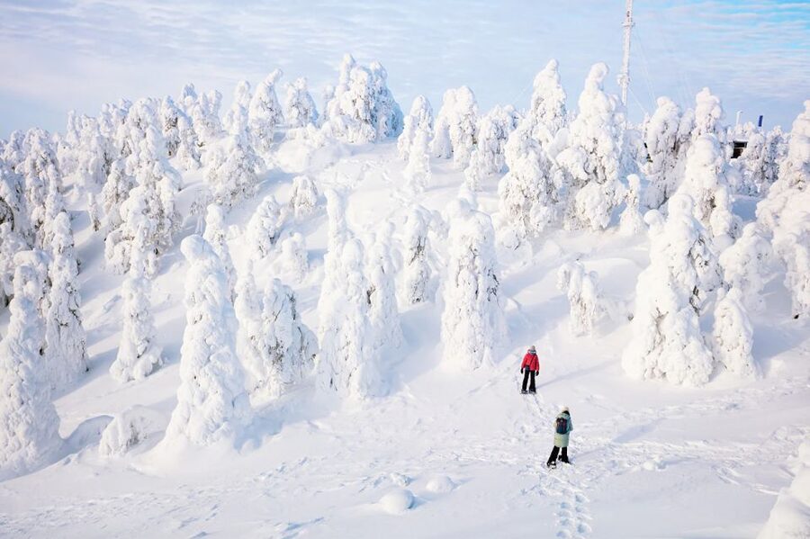 Rovaniemi: Hiking and Snowshoeing Adventure in Lapland - Learning to walk on snowshoes
