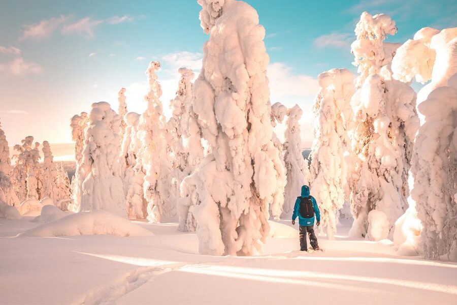 Rovaniemi: Hiking and Snowshoeing Adventure in Lapland - A warm drink and gingerbread in the cold