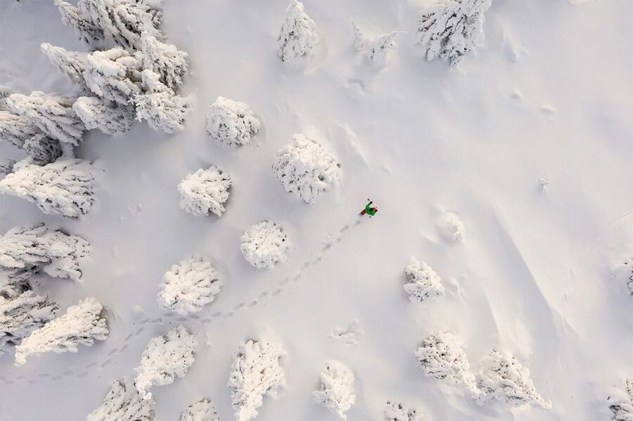 Rovaniemi: Hiking and Snowshoeing Adventure in Lapland - Is $104 a good price?