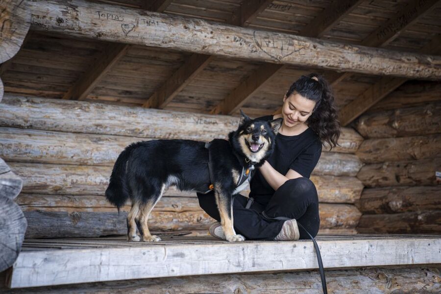 Rovaniemi: Hiking Experience with Lappish Dogs - What this Rovaniemi dog hike is really like