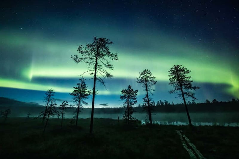 Rovaniemi: Horse Sleigh Ride under the Night Sky - Leaving Rovaniemi for Apukka Resort
