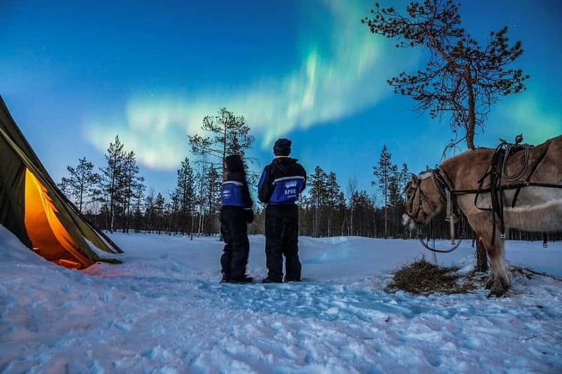 Rovaniemi: Horse Sleigh Ride under the Night Sky - Through Apukka’s Snowy Forest Trails