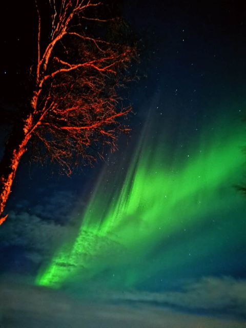 Rovaniemi Hunting Aurora at the Best Spots - First stop: lake, forest, and open sky