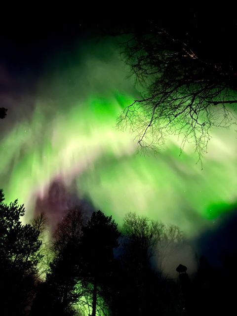 Rovaniemi Hunting Aurora at the Best Spots - Second stop: a fresh chance under darker skies