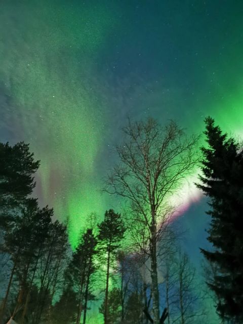 Rovaniemi Hunting Aurora at the Best Spots - Is $108 a fair price?