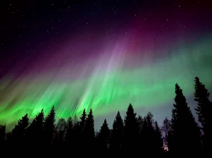 Rovaniemi Hunting Aurora at the Best Spots - Who will enjoy this Rovaniemi experience most?