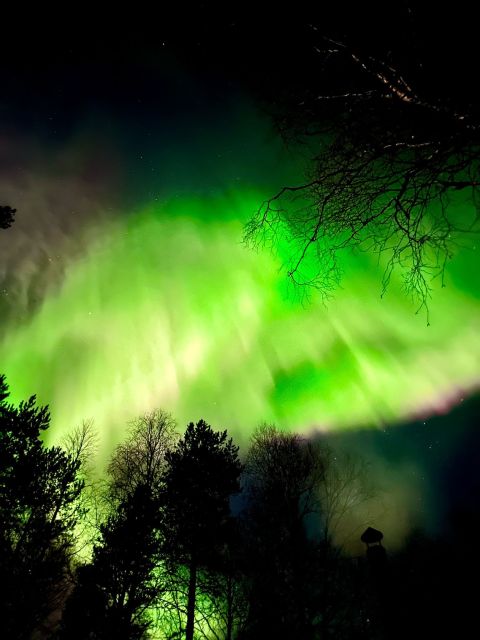 Rovaniemi Hunting Aurora at the Best Spots - The 20:00 pickup and drive north