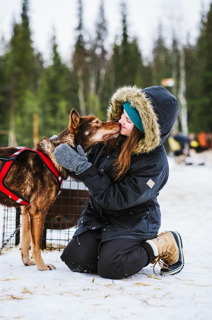 Rovaniemi: Husky and Reindeer farm with sleigh ride - Who will enjoy this Rovaniemi experience?