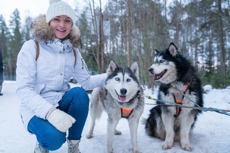 Rovaniemi: Husky Farm and Reindeer Experience - Key points to know before booking