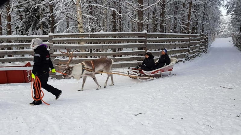 Rovaniemi: Husky Farm and Reindeer Experience - Who should book this experience?