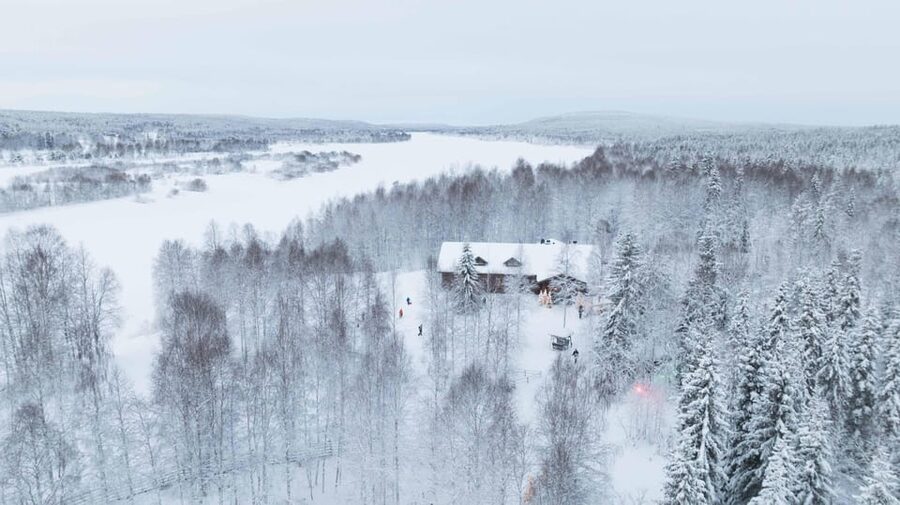 Rovaniemi: Husky Farm Visit with a Sledge Ride - What the Rovaniemi husky visit is really about
