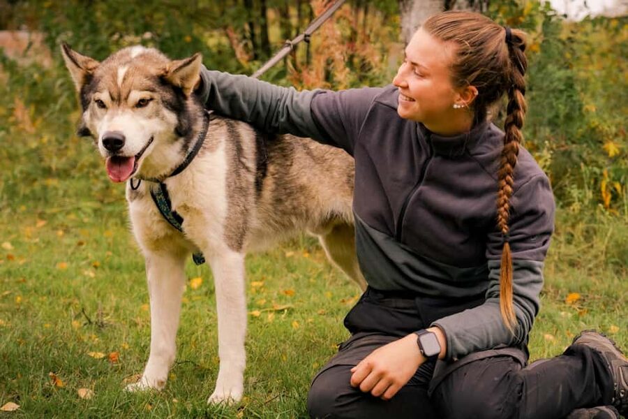 Rovaniemi: Husky Safari & Campfire BBQ – 6‑10 km Self‑Drive - Forest trails in summer and autumn