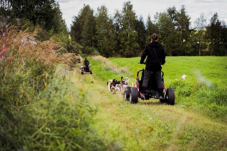 Rovaniemi: Husky Safari & Campfire BBQ – 6‑10 km Self‑Drive - The campfire BBQ finish