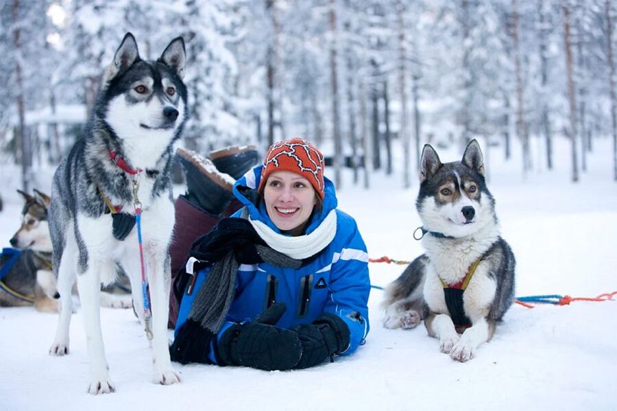 Rovaniemi: Husky Safari on a Snowy Trail - Driving the sled through Finnish countryside