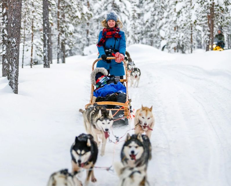 Rovaniemi: Husky Safari on a Snowy Trail - Price, timing, and what you really receive
