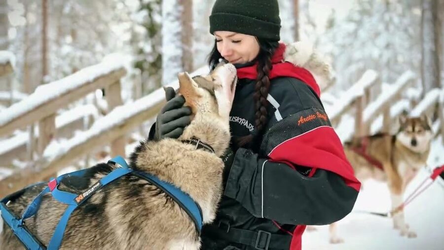 Rovaniemi: Husky Sled Ride with Hotel Transfer - The 800-meter sled ride through snowy Lapland
