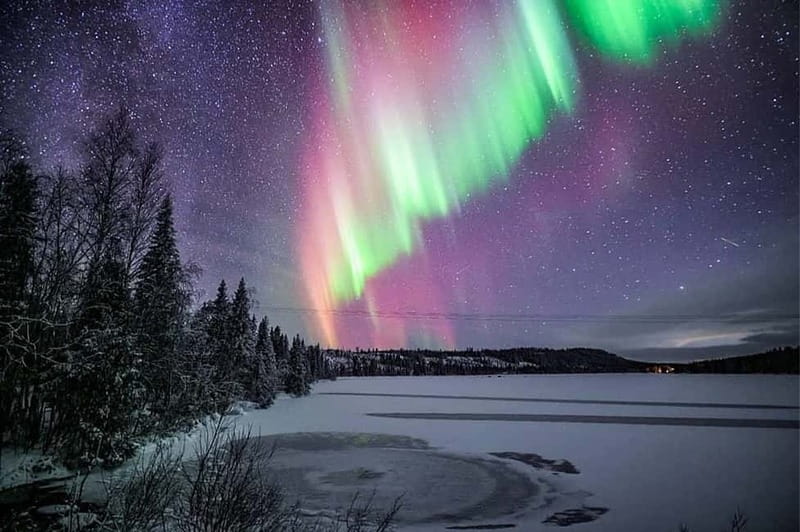 Rovaniemi: Ice Floating in Forest Lake with Aurora Borealis - Who will enjoy this most