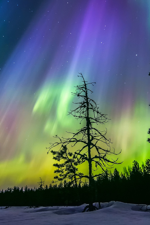 Rovaniemi: Ice Floating in Forest Lake with Aurora Borealis - Practical clothing and comfort advice
