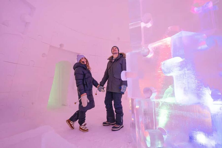Rovaniemi: Ice sculpting experience - Who should book this experience