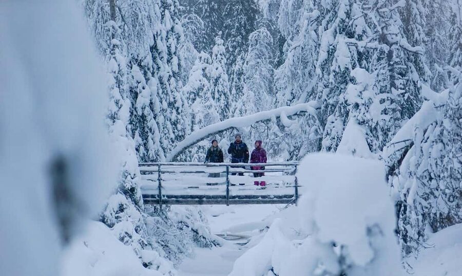 Rovaniemi: Korouoma Canyon and Frozen Waterfalls Tour - The guide can shape the whole experience