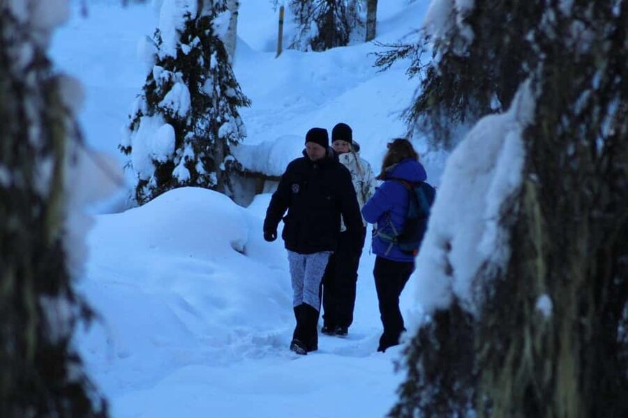 Rovaniemi: Korouoma Canyon and Frozen Waterfalls Tour - Should you book the Korouoma Canyon tour?