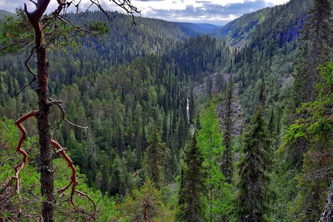 Rovaniemi Korouoma Canyon Hike and Barbecue Experience - Five things to know before you go